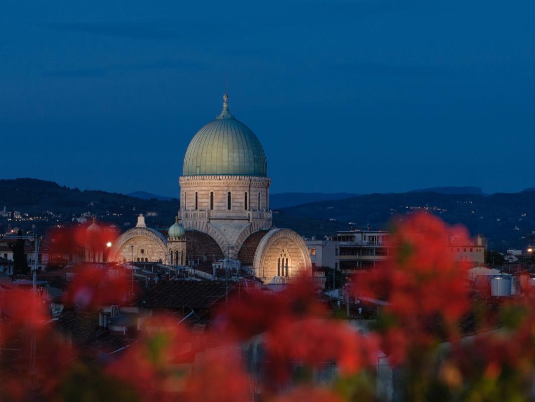 Illuminated dome at night with red flowers in the foreground.