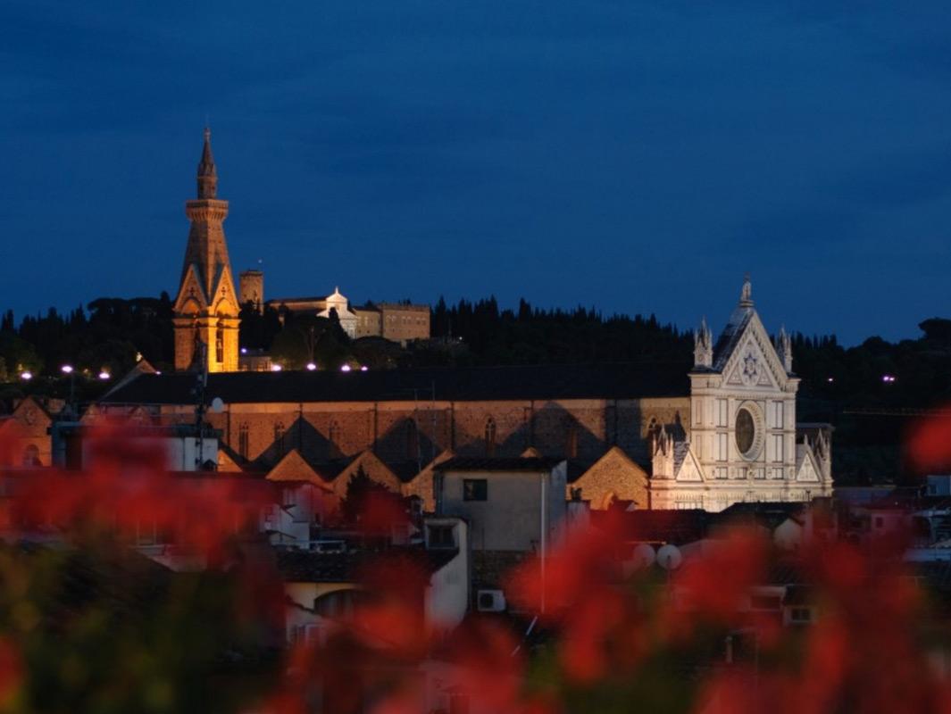 Night view of a city with illuminated churches and flowers in the foreground.