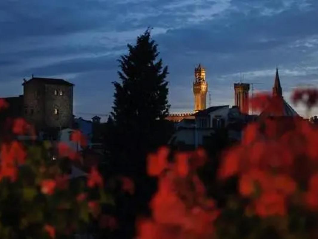 Vista nocturna con torre iluminada y flores rojas en primer plano.