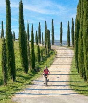 Cyclist on a dirt road flanked by cypress trees.
